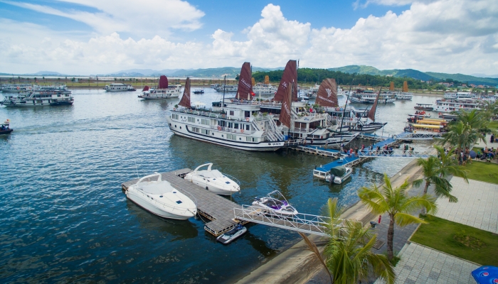 Impressive Cruise Ha Long 1 Day Small Group Tour