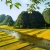 Private Hoa Lu - Tam Coc 1 day tour